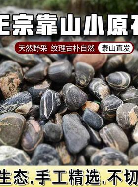天然泰山石敢当小原石镇宅石敢当家居装饰玄关客厅鱼缸泰山石摆件