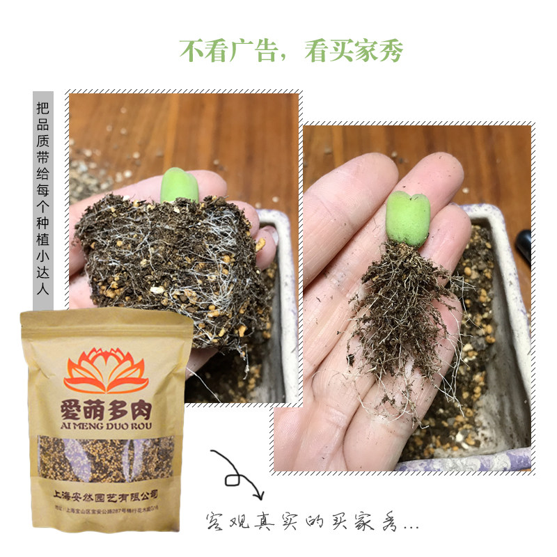 多肉颗粒土专用营养土生石花肉锥土多肉盆栽铺面爱萌自配土易发根