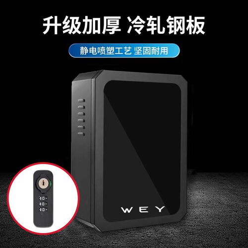 魏派新能源摩充电桩保护箱卡玛奇朵DHT phevP8/VV7户外电动配电箱
