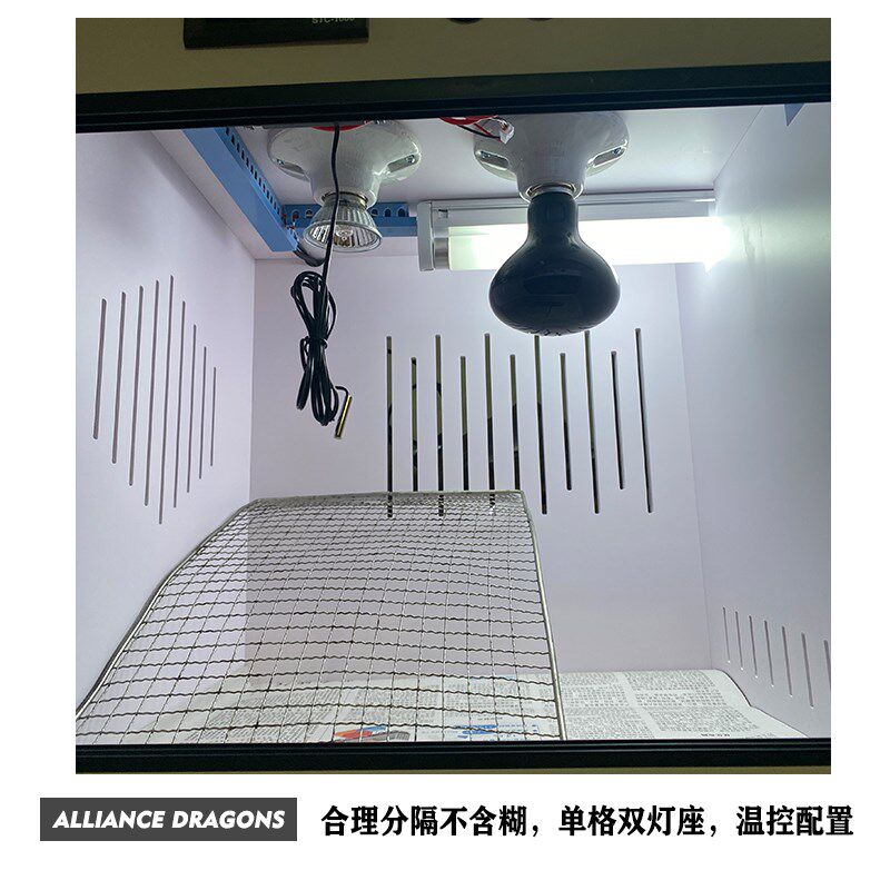 PVC分隔爬宠饲养箱鬃狮蜥爬虫恒温蜥蜴蛇宠物刺猬育苗精养保温箱