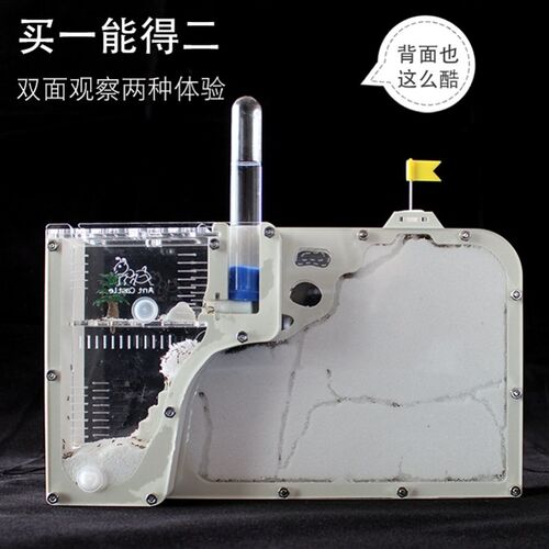 工坊繁殖家园蚂蚁生态箱庄园生态盒蚁巢套餐儿童送蚁后蚂蚁王国