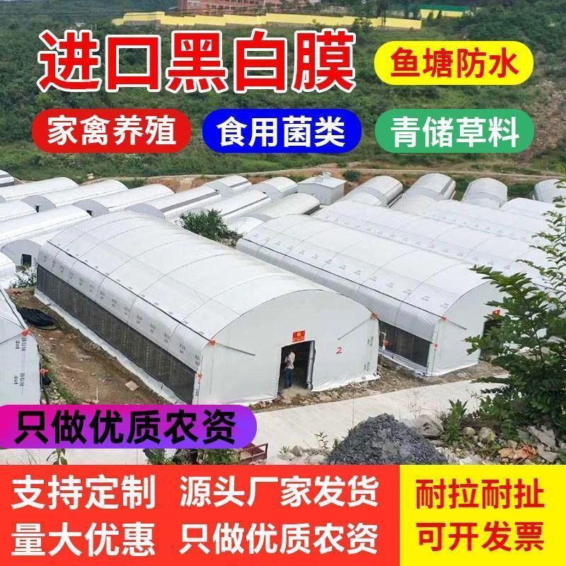黑白膜养殖防晒加厚进口养殖大棚黑白反光保温膜防晒塑料布食用菌