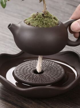 懒人花盆自动吸水盆器陶瓷茶壶福建茶绿植紫砂盆景盆创意个性组合