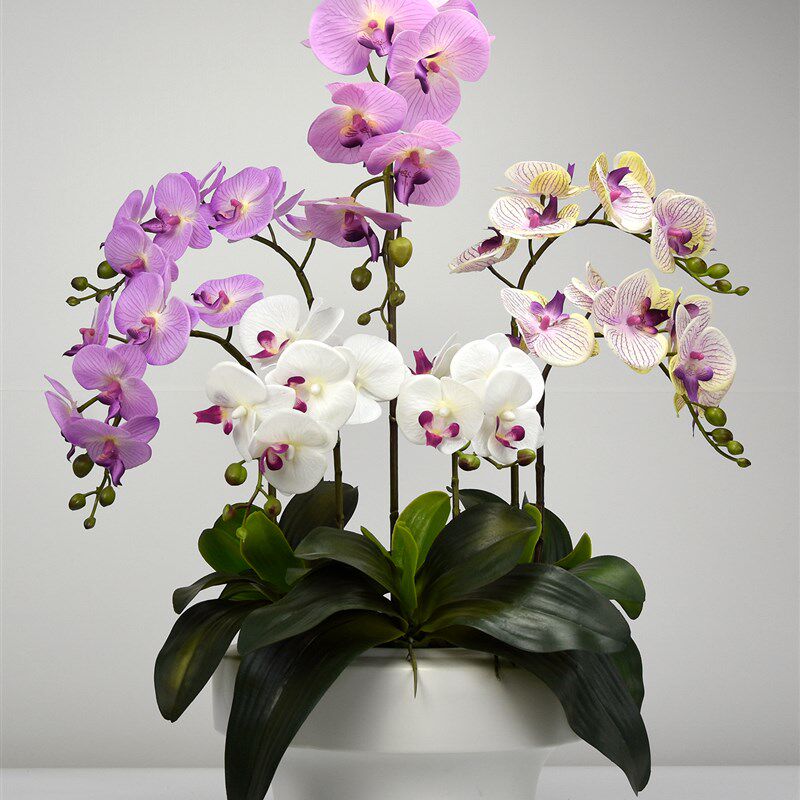 采购产品高端蝴蝶兰人造花,高端手感兰花展示花,客厅餐桌,入口大