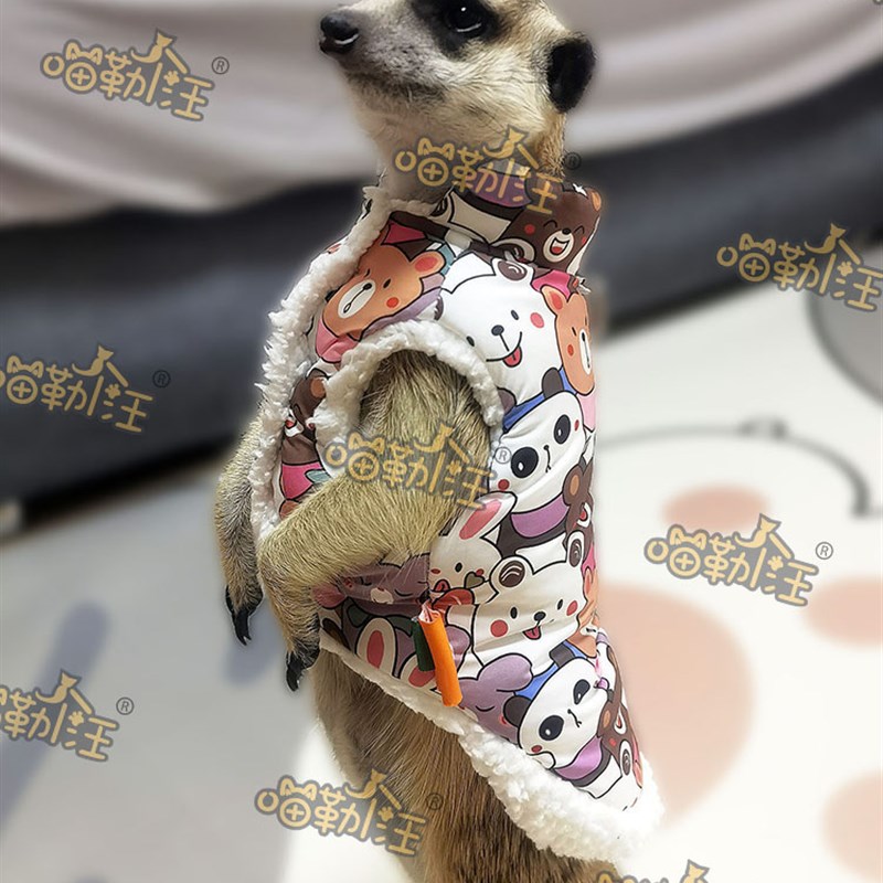 狐獴宠物衣服瘦版棉服超小码奶狗吉娃娃幼犬小猫冬季加厚保暖棉衣