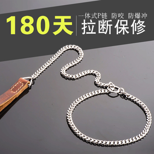 钛钢一体式P链防爆冲训犬P字链不锈钢中大型犬拉布拉多金毛牵引绳