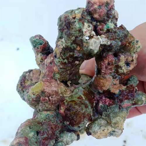 免爆藻活石新鲜高钙深海片状海水过滤鱼缸珊瑚缸多孔微生物造景石