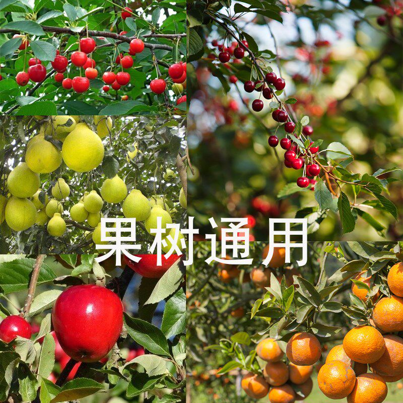 果树专用有机肥料家庭庭院使用通用通用型多元素氮磷钾橘子柚子等
