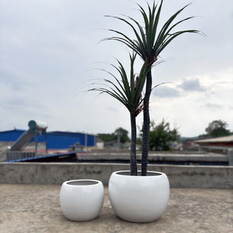 北欧简约圆球大号花盆陶瓷客厅绿植阳台千年木特大口径38种树盆栽