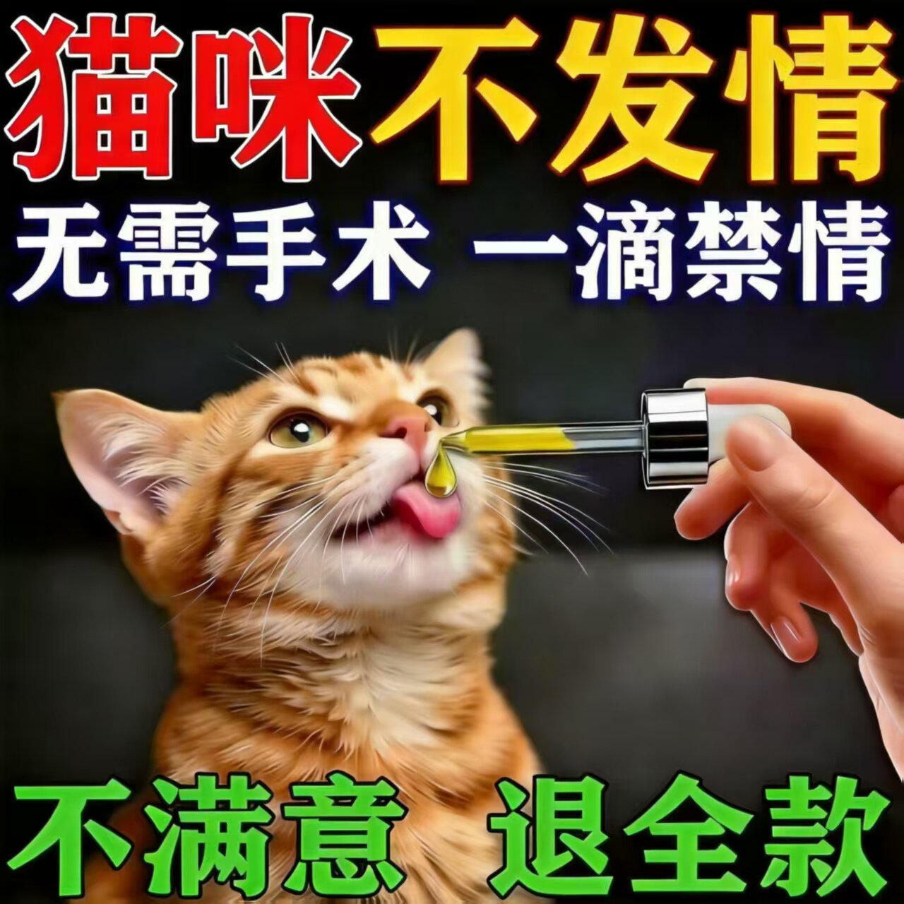 母猫终身的绝育药公猫咪发情抑制药母猫专用宠物乱叫乱尿避孕禁情