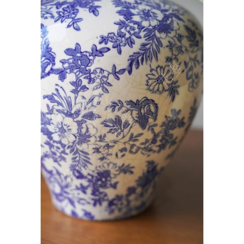 白色蝴蝶兰鲜切花真花水养鲜花青花瓷花瓶花器书桌餐桌面花瓶插花