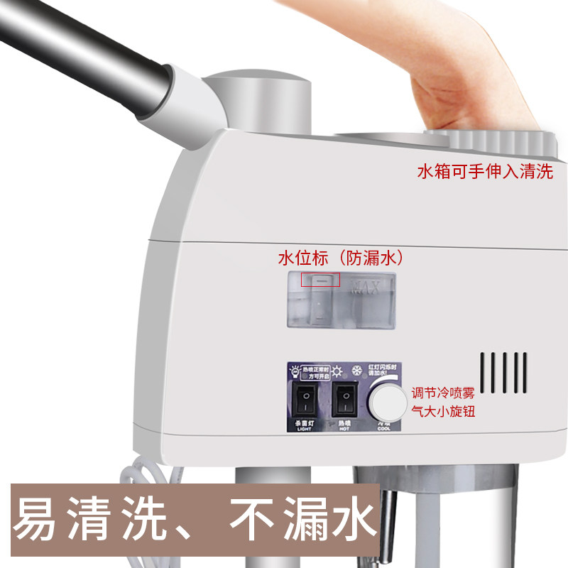 泰东蒸脸器美容仪冷热喷雾机器美容院专用补水仪家用纳米热冷双喷