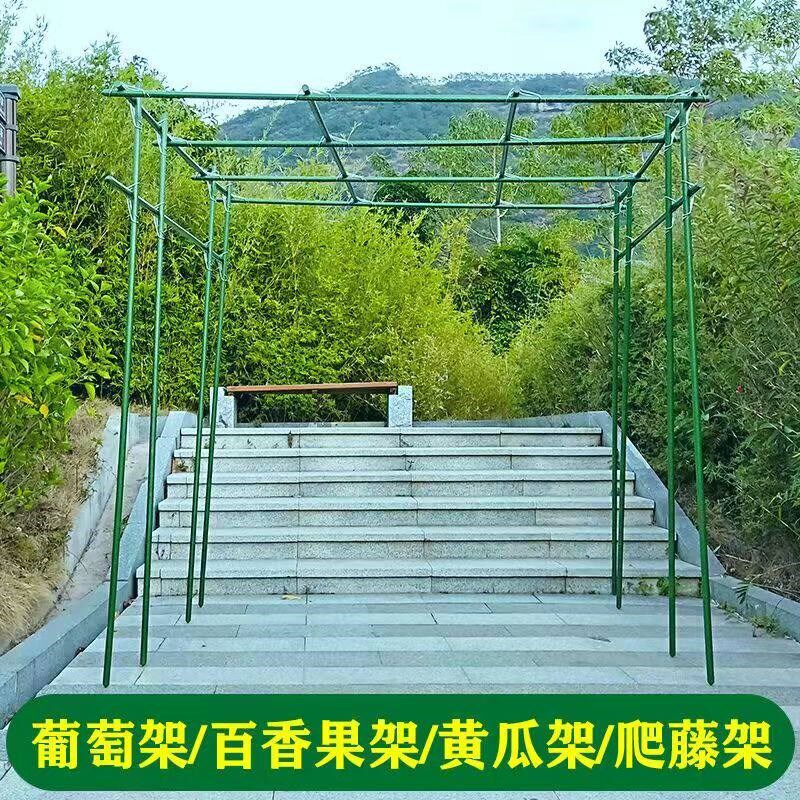 爬藤植物支撑架园艺花架花园阳台爬架黄瓜豆角包塑钢管大型葡萄架