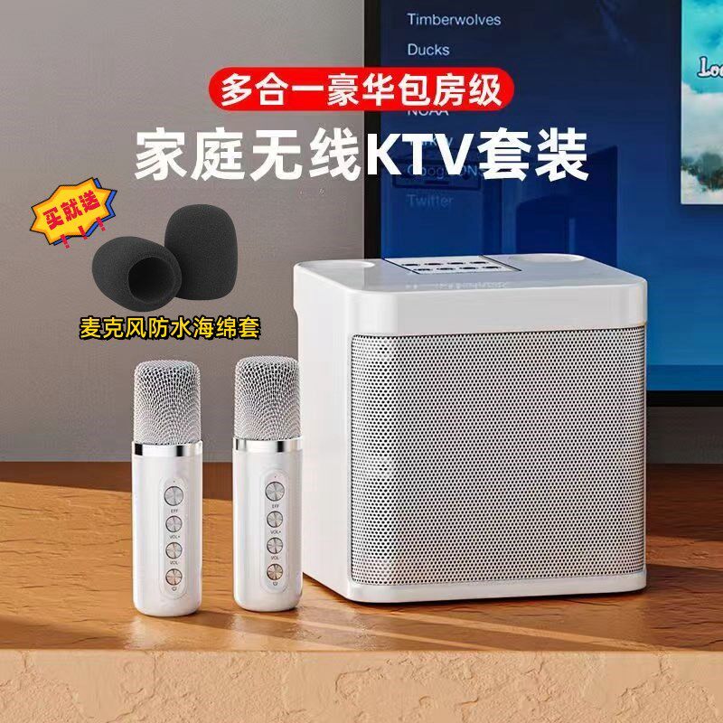 多功能无线蓝牙K歌音响双麦克风混响户外家庭聚会专业赠麦克风套