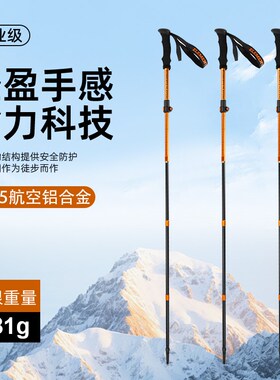 专业登山杖元素玩家航空铝合金5节折叠Roamer AL户外徒步爬山手杖