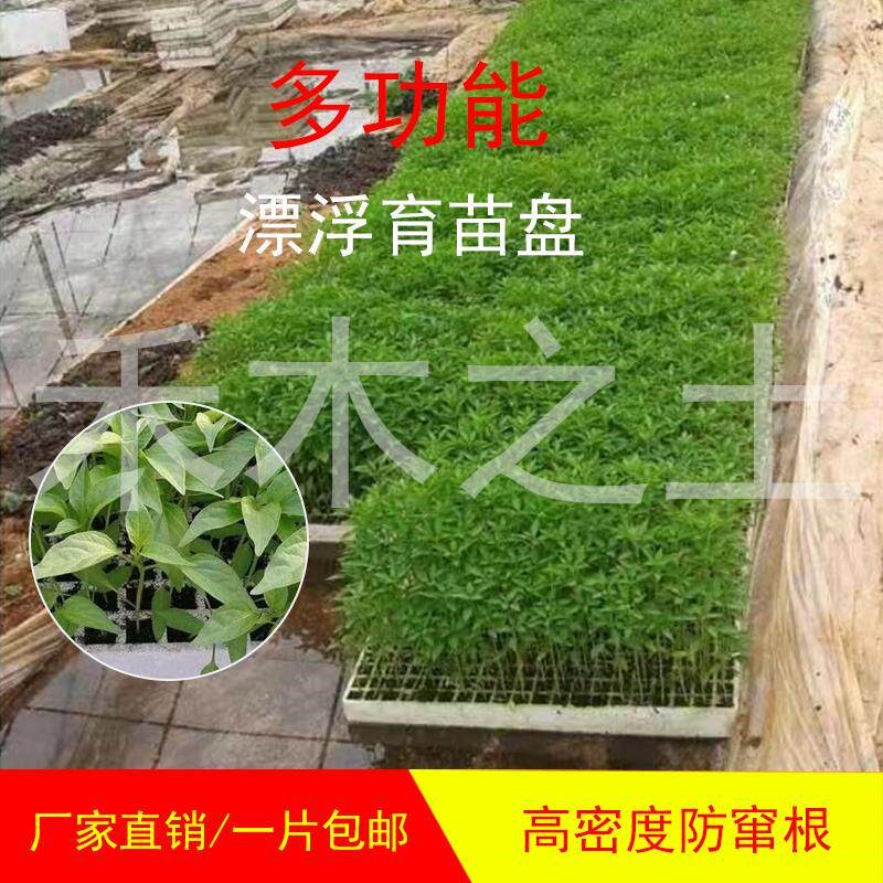 泡沫漂浮育苗盘水培烟苗辣椒苗茄子花菜育苗200 162 160 136 105