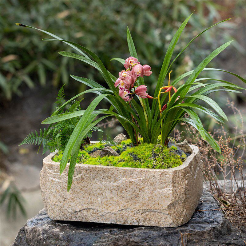 仿石头花盆水培器皿长方形家用水养水仙花绿植盆栽花器装饰品摆件