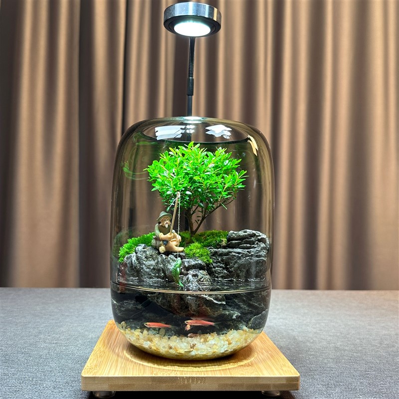 年年有鱼苔藓观赏微景观客厅养鱼办公桌面生态缸摆件纯手工成品