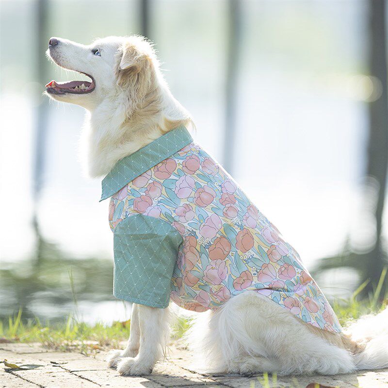 宠物大型犬边牧衬衫薄款裙子衣服生日礼物情侣装拍照可爱金毛萨摩