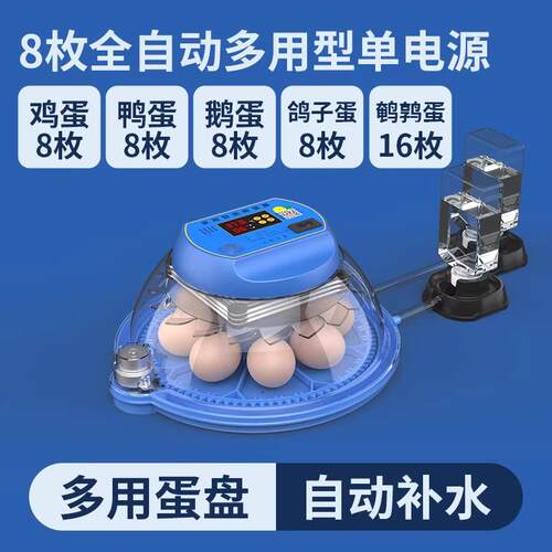 全自动智能孵化器孵蛋器中小型家用鸟蛋鹦鹉珍禽孵化机鸭蛋孵化箱