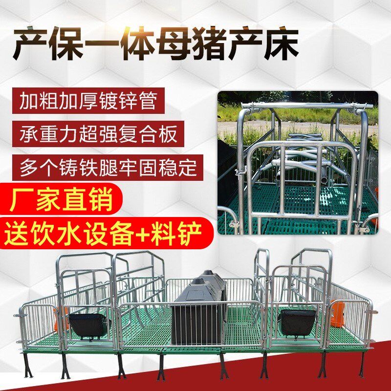 母猪限位栏加厚猪定位栏保育床落地式双体单体保育一体产床漏粪板