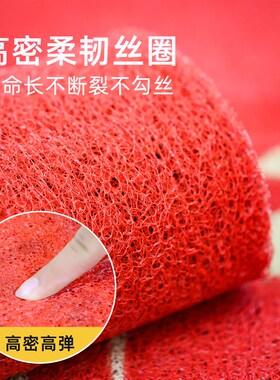 地垫入户门垫红色丝圈进门门口家用玄关脚垫耐脏免洗门外防滑地毯