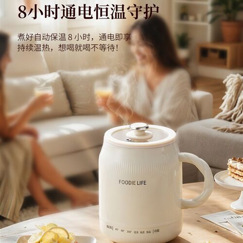 便携式电热杯旅行电煮杯宿舍烧水壶热牛奶养生电炖杯办公室加热杯