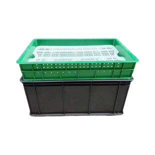 加厚塑料黑色花生芽水培育苗专用生长箱蔬菜种植撒播长条点播穴盘