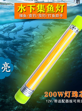 水下诱鱼灯12V海钓鱿鱼灯筏钓灯深水集鱼灯引鱼灯夜钓灯冰钓鱼灯