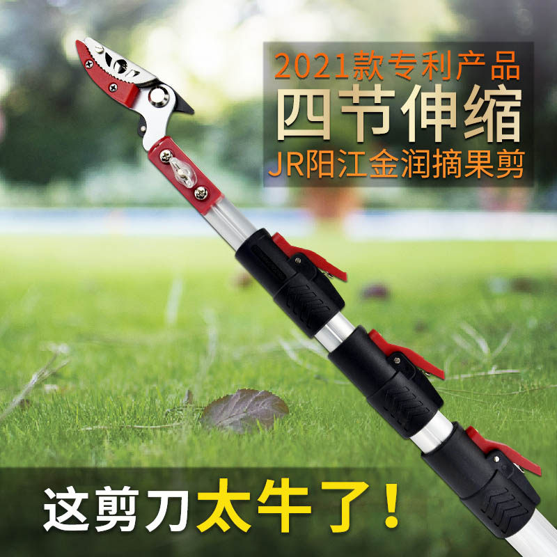 摘果剪高枝剪摘柚子果树采柿子5.5米龙眼修枝伸缩高空加长摘果器