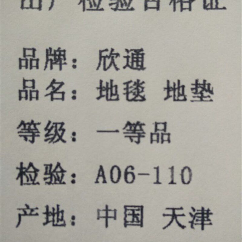 丝毛地毯客厅长方形可水洗沙发茶几地毯卧室房间满铺地毯床边飘窗