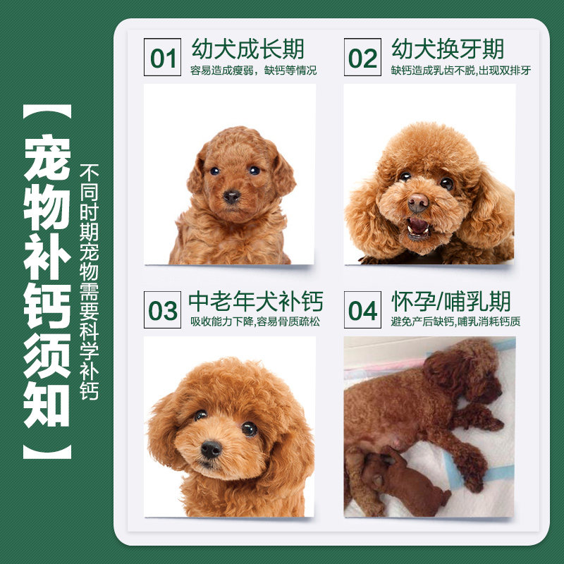 狗宝宝泰迪专用羊奶粉狗狗补钙专用新生幼犬成犬宠物小狗吃的狗粮