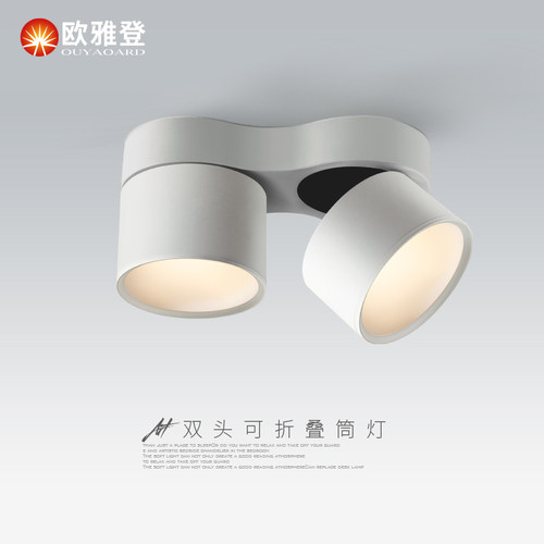 明装双头筒灯led天花灯走廊过道斗胆灯客厅吸顶吊顶可折叠射灯