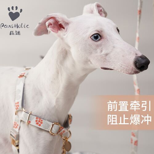 pawsholic爪迷狗狗胸抱婴袋防爆冲户外宠物牵狗牵引绳遛狗绳小型