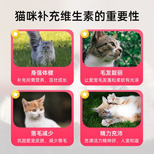 猫咪复合维生素b猫多维防掉毛猫狗营养补充防掉毛猫藓猫草毛片