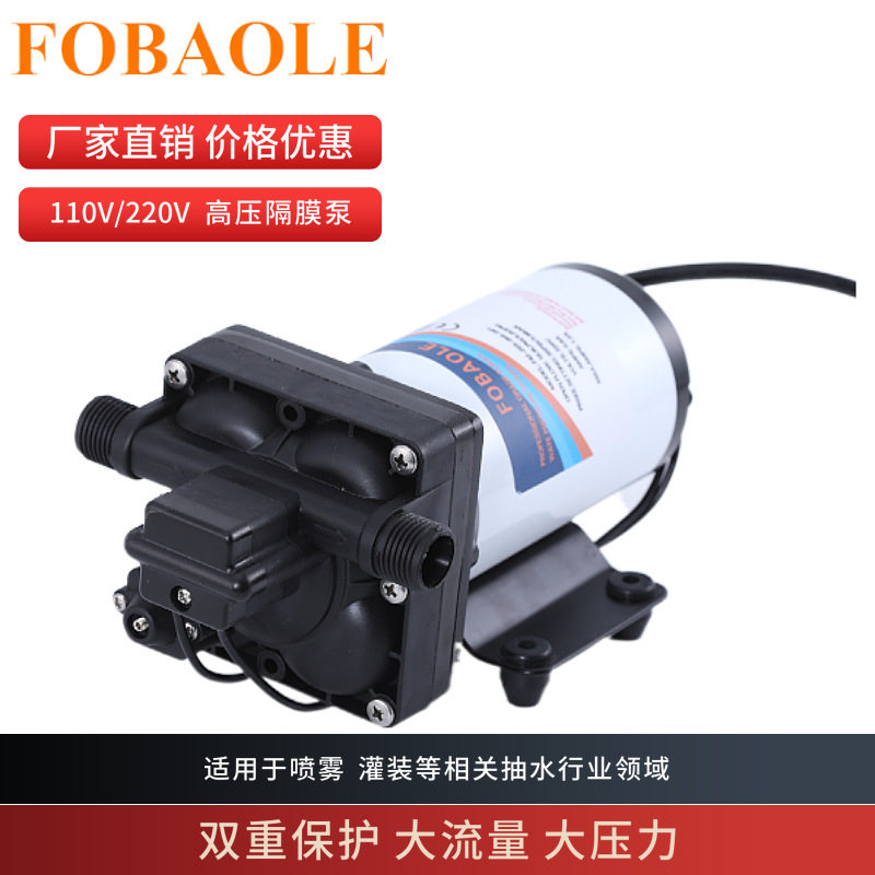11.3升交流电动高压清洗泵110V220V热水器灌溉循环用水增压抽水泵