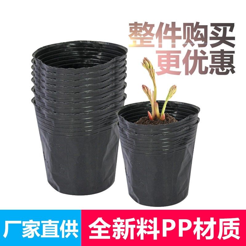 营养钵营养杯塑料育苗杯花盆一次性营养袋厂家直销育苗盆黑色加厚