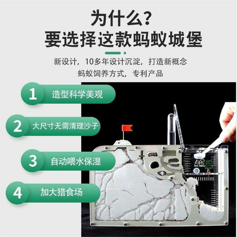 蚂蚁城堡生态箱蚂蚁工坊超大型送蚁后学生观察繁殖版蚁巢窝宠物