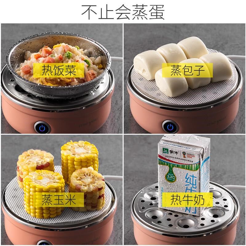 110V美规煮蛋器蒸蛋器自动断电家用小型迷你不锈钢早餐机煮鸡蛋