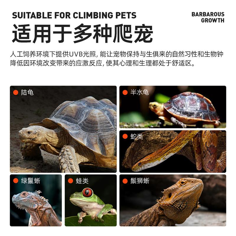 爬宠灯罩uvauvb乌龟晒背灯架守宫蜥蜴爬箱寄居蟹爬虫深筒加热保温
