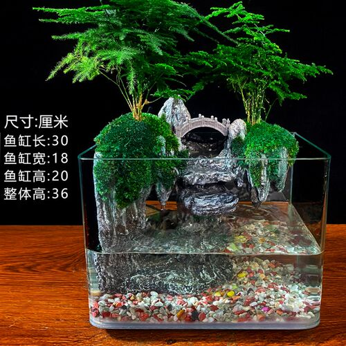 庐山瀑布流水鱼缸微景观大型生态乌龟雨林盆景植物室内水陆缸造景