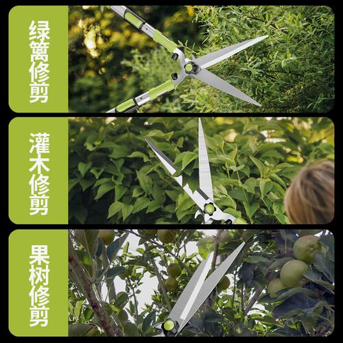 园艺剪刀修剪树枝专用粗枝剪大剪刀园林绿化修枝剪花卉修剪刀剪草