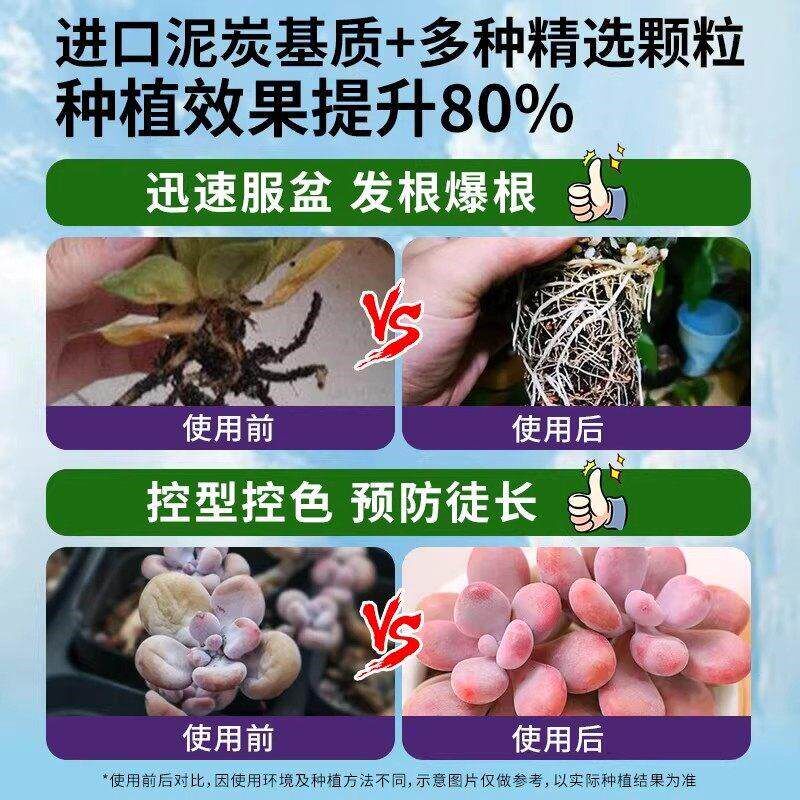 多肉颗粒土专用营养土植物泥炭种植土壤肉肉叶插小苗老桩颗粒花土