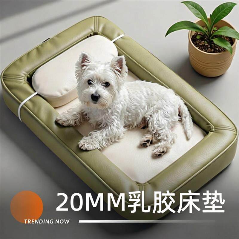 乳胶猫窝可拆洗狗窝四季通用中型小型犬专用宠物夏季床垫正反可用