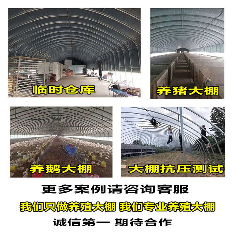 养殖大棚钢管骨架全套定制椭圆管养鸡鸭养牛羊舍猪圈温室大棚保温