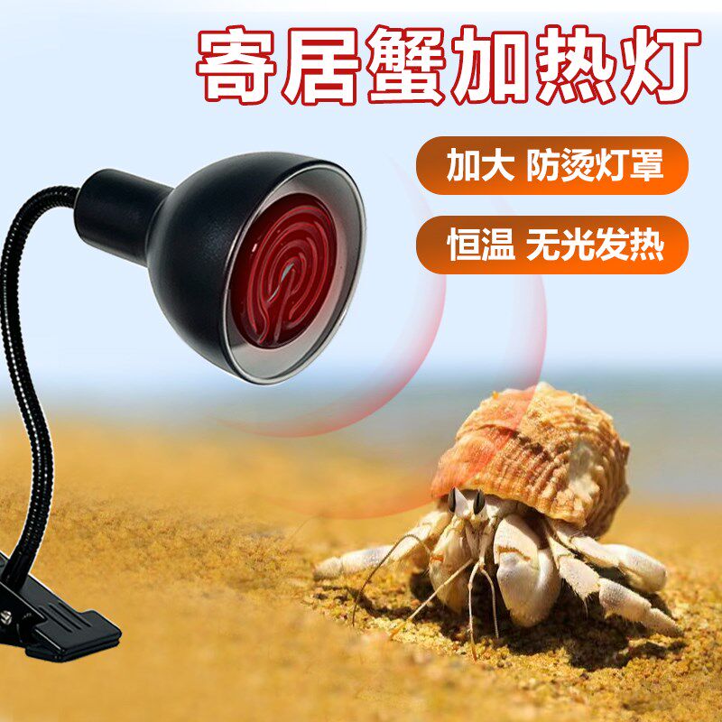 寄居蟹保温灯爬宠虫陶瓷加热灯乌龟宠物暖灯恒温饲养箱温控器过冬