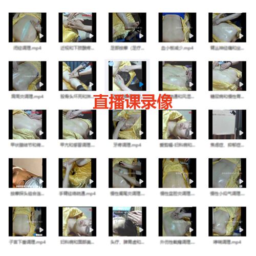 狻戬酸碱平衡华林dds生物电理疗按摩仪器人体经络细胞修复电疗仪