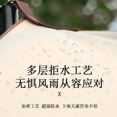黑胶露营天幕帐篷户外大号涂层遮阳防晒车边野营防雨六角蝶形天幕
