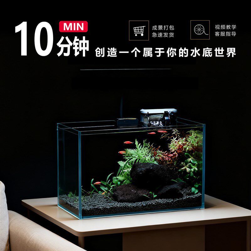 桌面生态草缸活体真草小型免换水自循环缸办公室造景全套超白鱼缸
