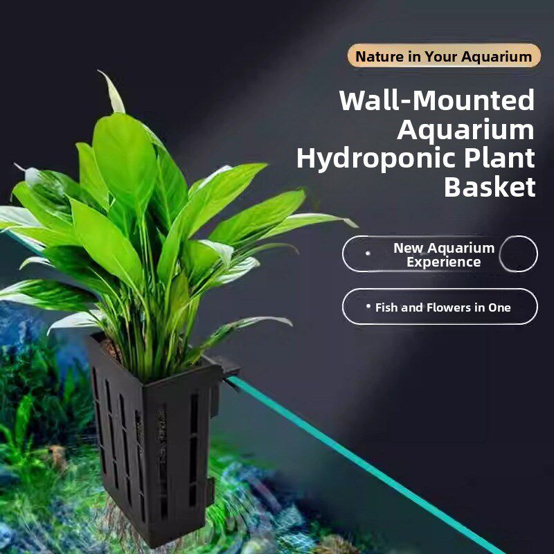 古鱼缸水培种植篮壁挂式水生植物箱深化大周转箱园林绿化植物根系